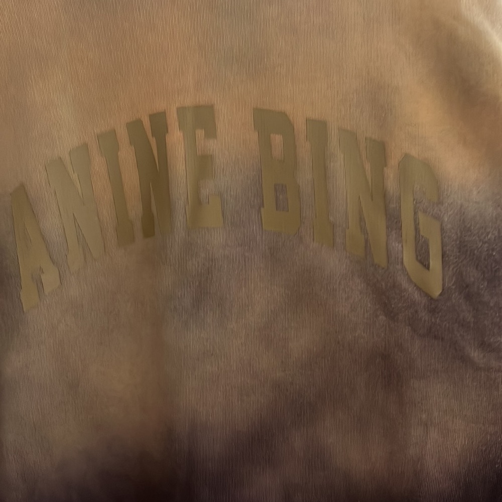 Anine Bing Brown and Gold Ombre Sweatshirt - Picture 10 of 14